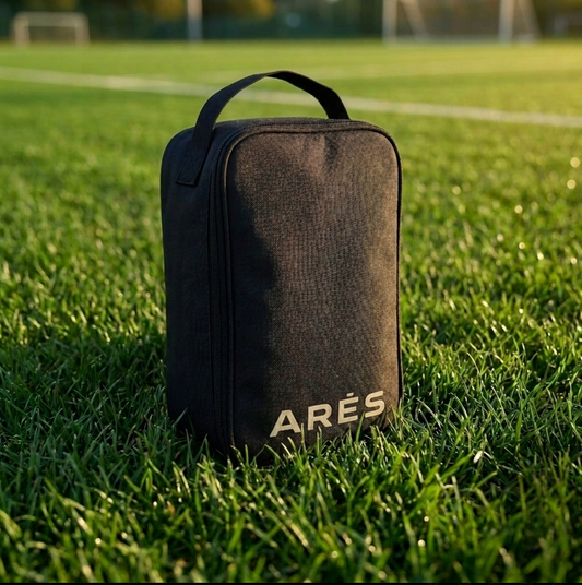 Arès case